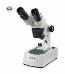 Kính hiển vi soi nổi hai mắt P-20 Euromex 60.200 (WF10x/20mm, 20x/40x)